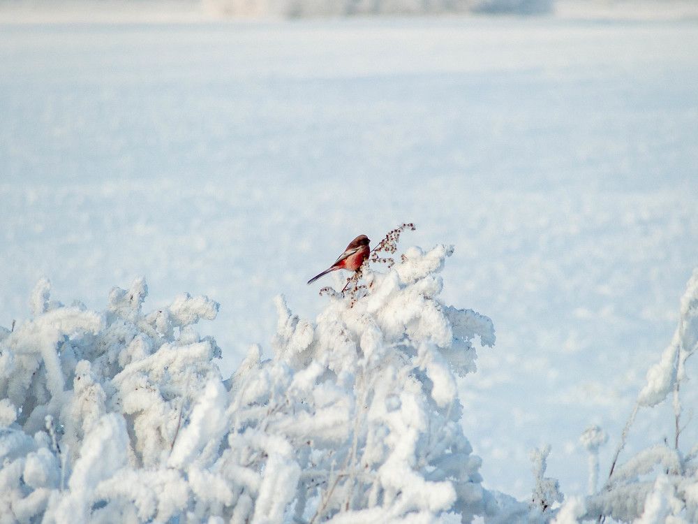 Photograph by Вадим Басов