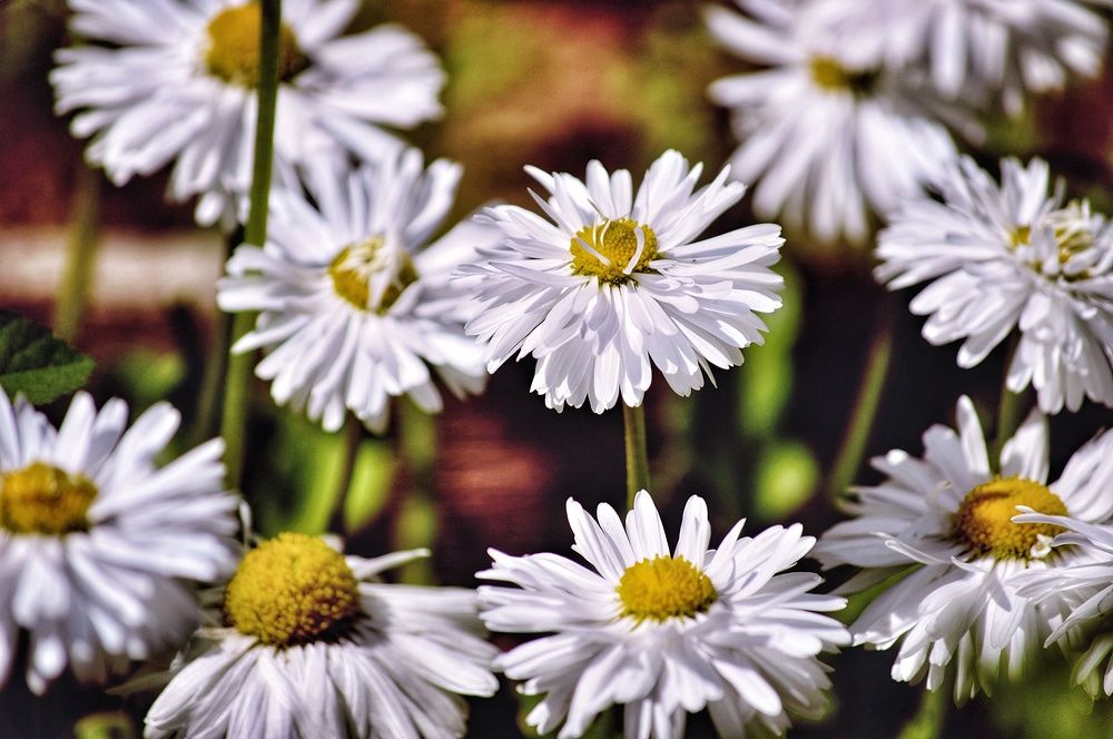 Photograph by Александр Лабутин
