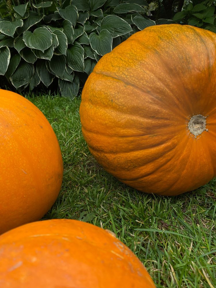 Photograph by Вера Романова