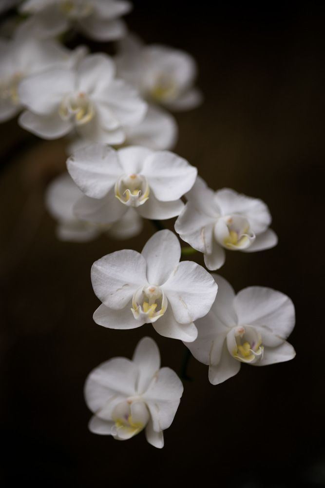 Photograph by Benny Chan