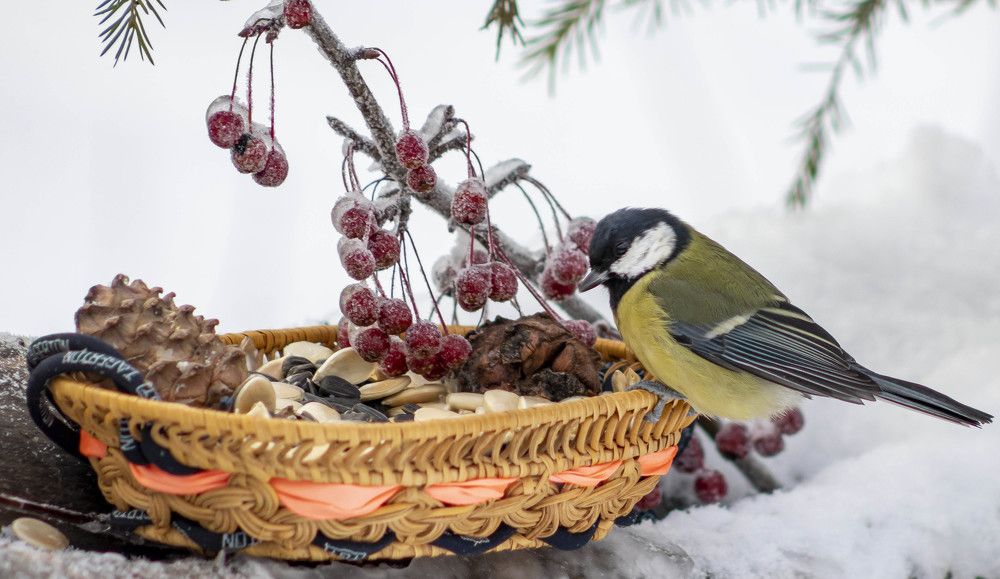 Photograph by Вера Почкалина