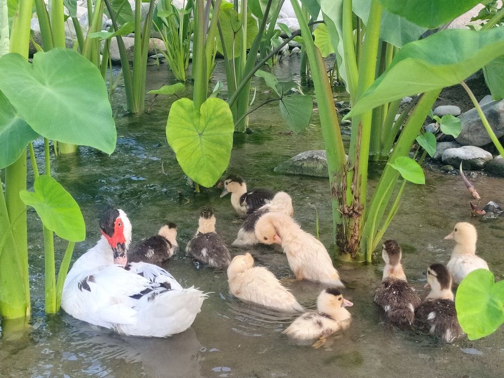 Photograph by Zea Mae N. Maynes