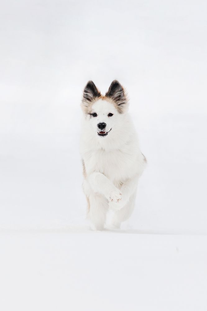 Photograph by Мария Кленовская