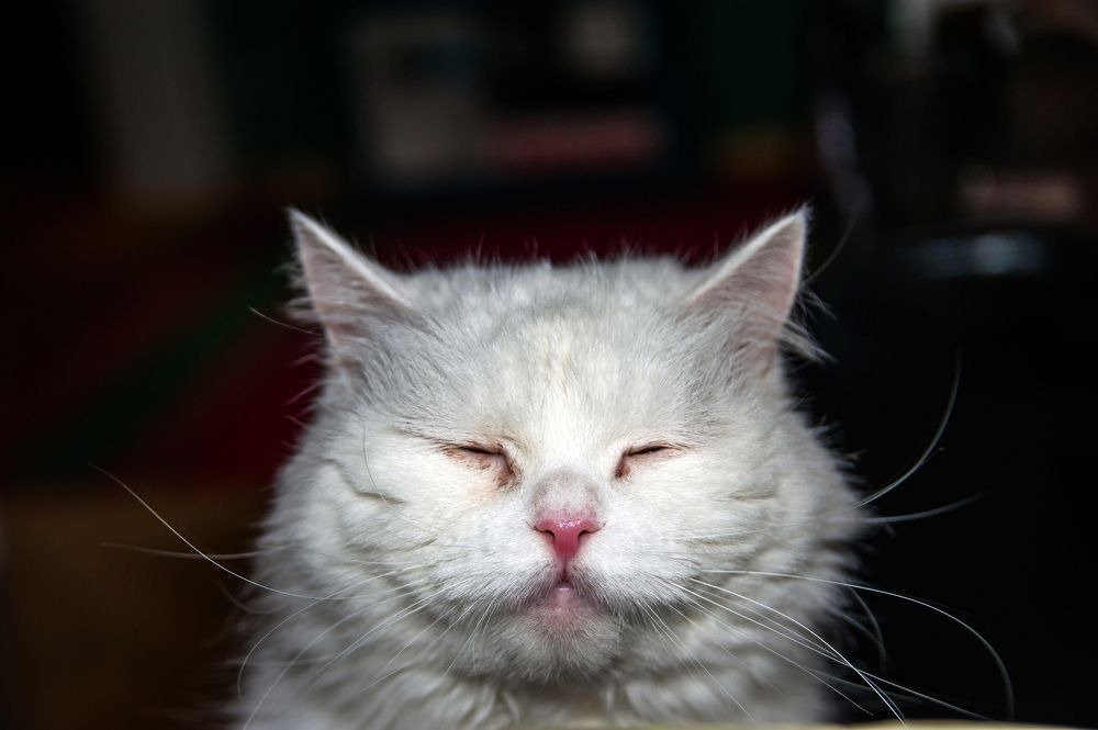 Photograph by Valery Kleymenov