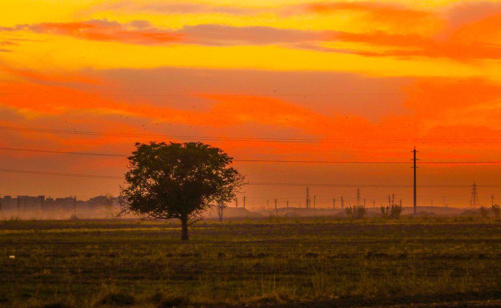 Фотография автора Vahid Basiri