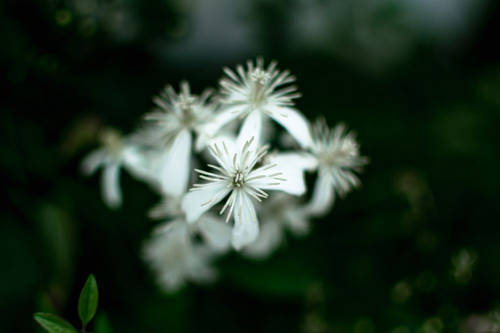 Photograph by Екатерина Абатурова