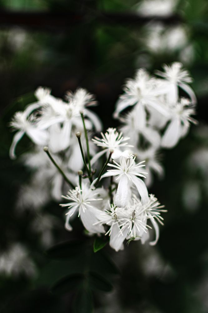 Photograph by Екатерина Абатурова