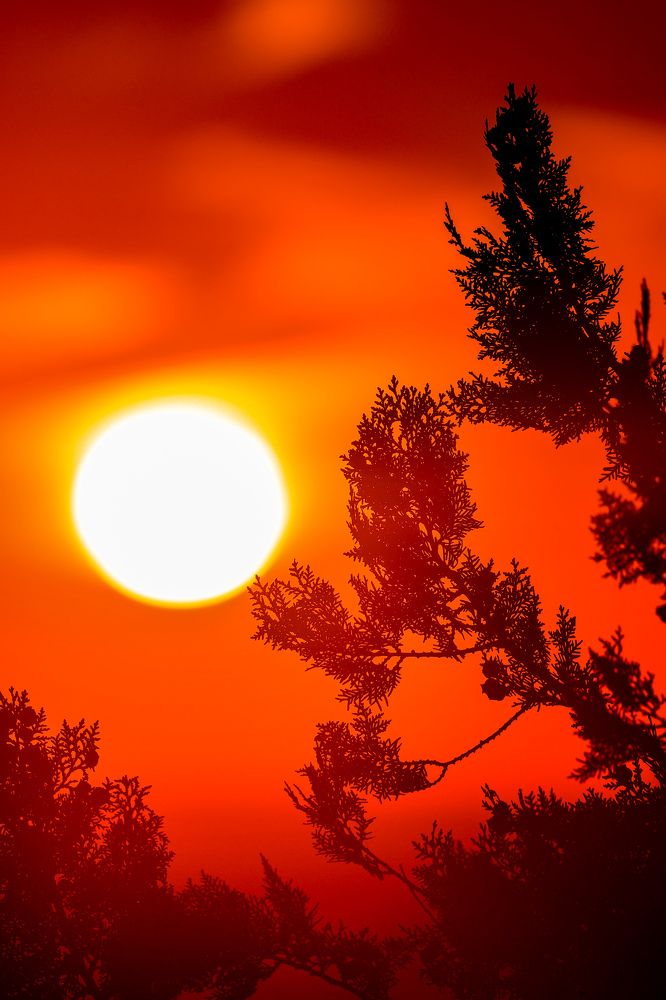 Photograph by Chic.chiquitita