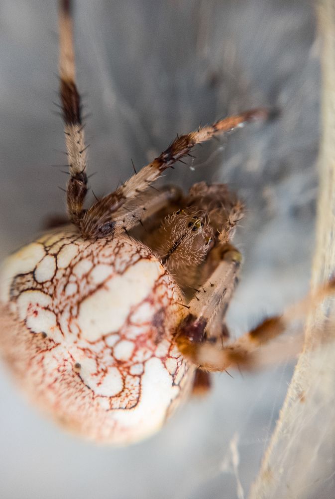 Photograph by Алексей Крукович