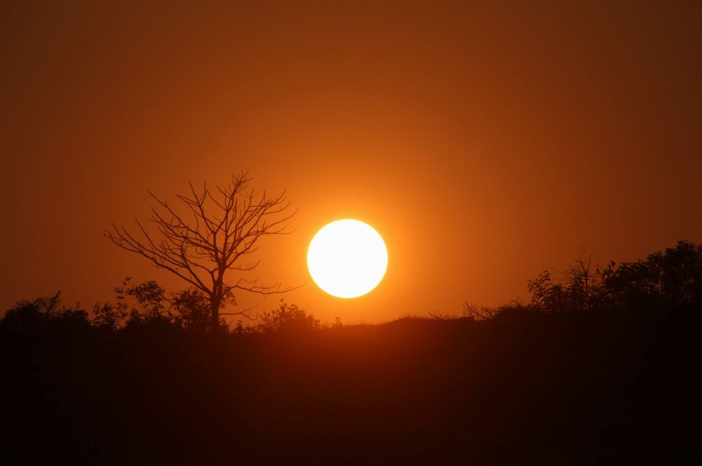 Photograph by Kapilesh Gujarathi