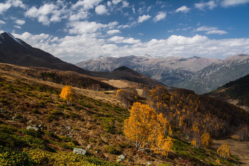 Photograph by Алексей Меснянкин