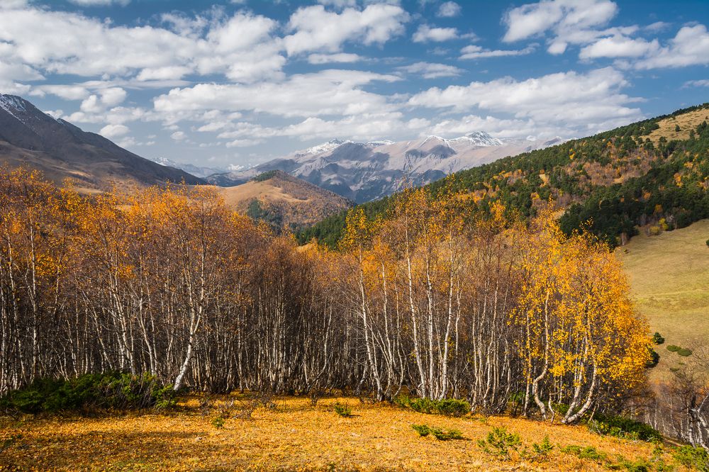 Photograph by Алексей Меснянкин