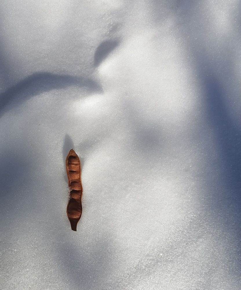 When hope sprouts from the frozen heart of darkness