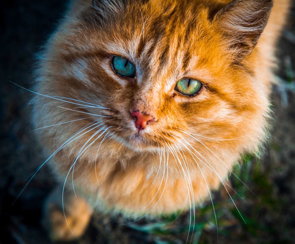 Photograph by Margarita