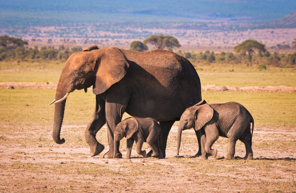 Photograph by Inna Ivanova