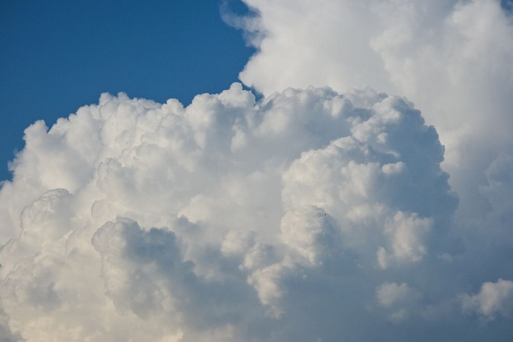 Фотография автора Екатерина Высоцкая