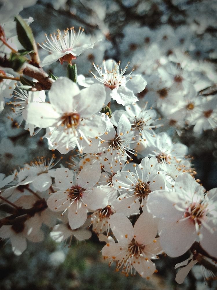 Фотография автора Екатерина Высоцкая