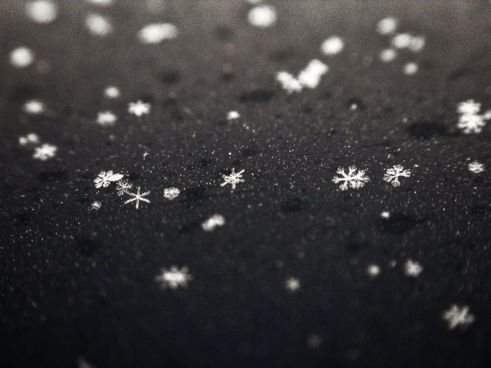 Photograph by Никита Петров