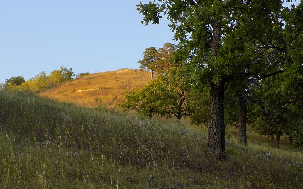 Photograph by Сергей Рудаков