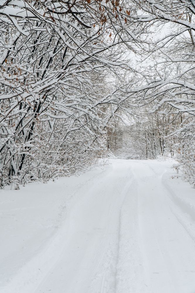 Photograph by Александр Кулаков