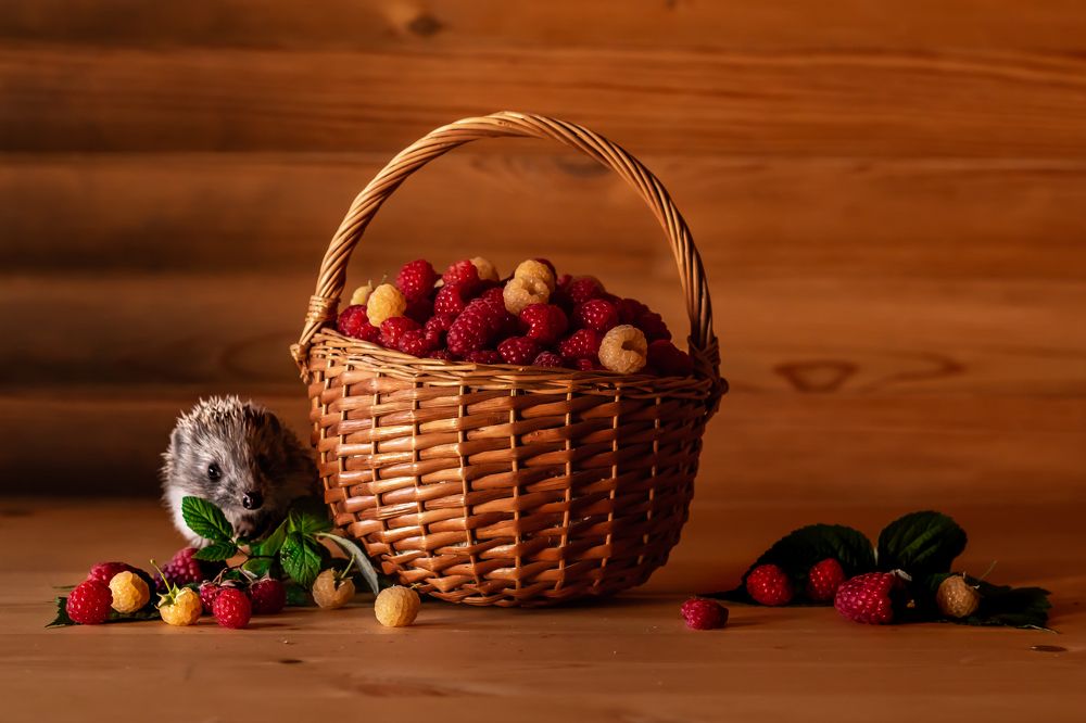 Photograph by Алёна Газукина