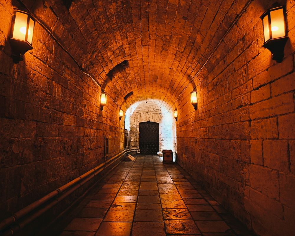 Photograph by Никита Петров