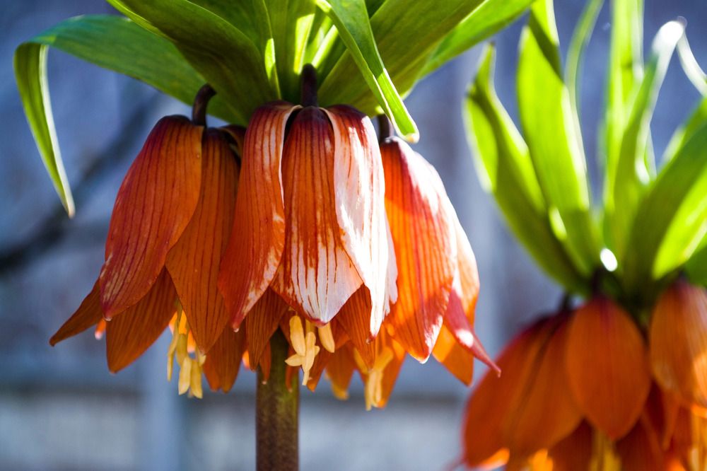 Photograph by Елизавета Большакова