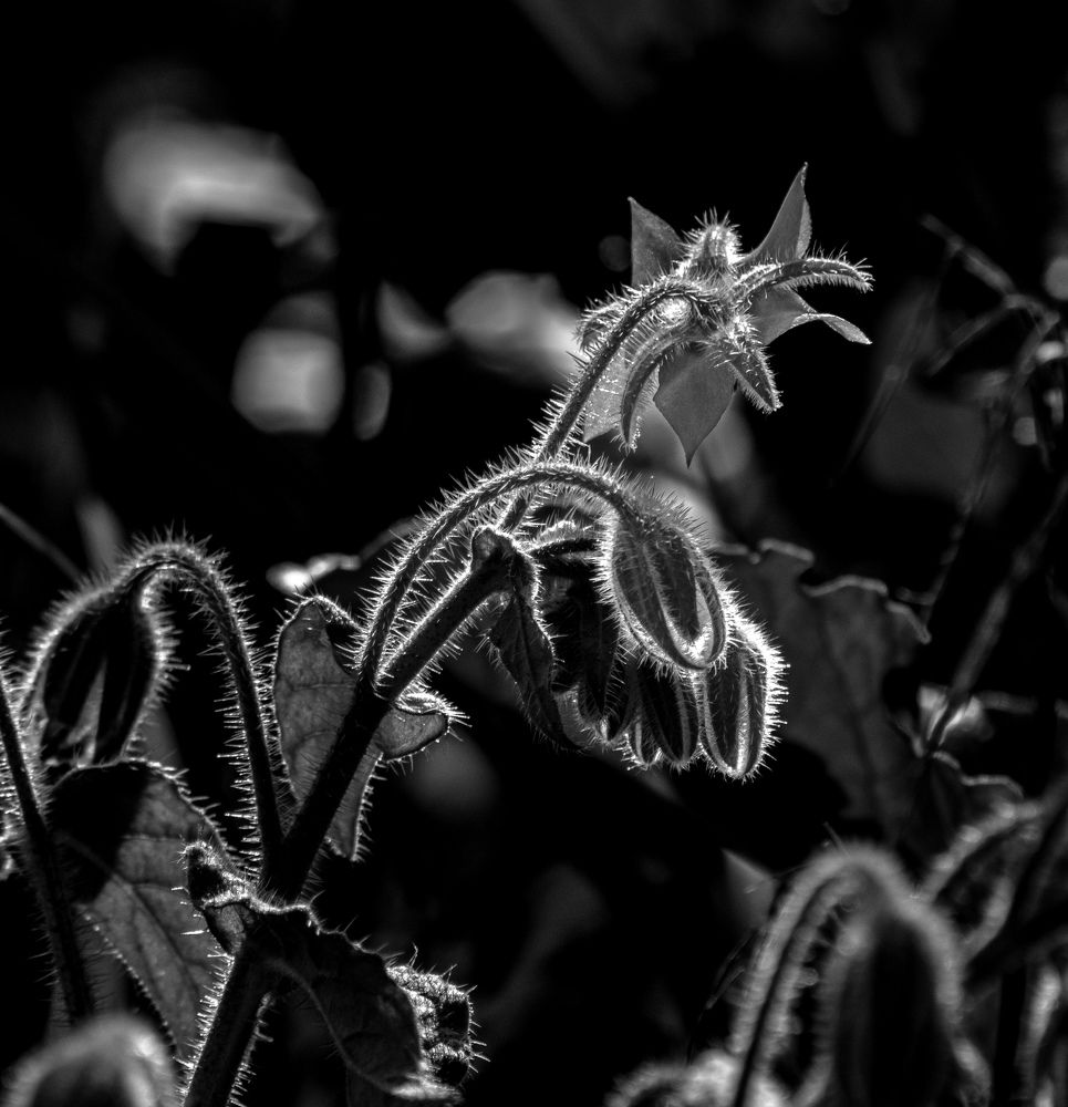 Photograph by Vitalii Kaznin