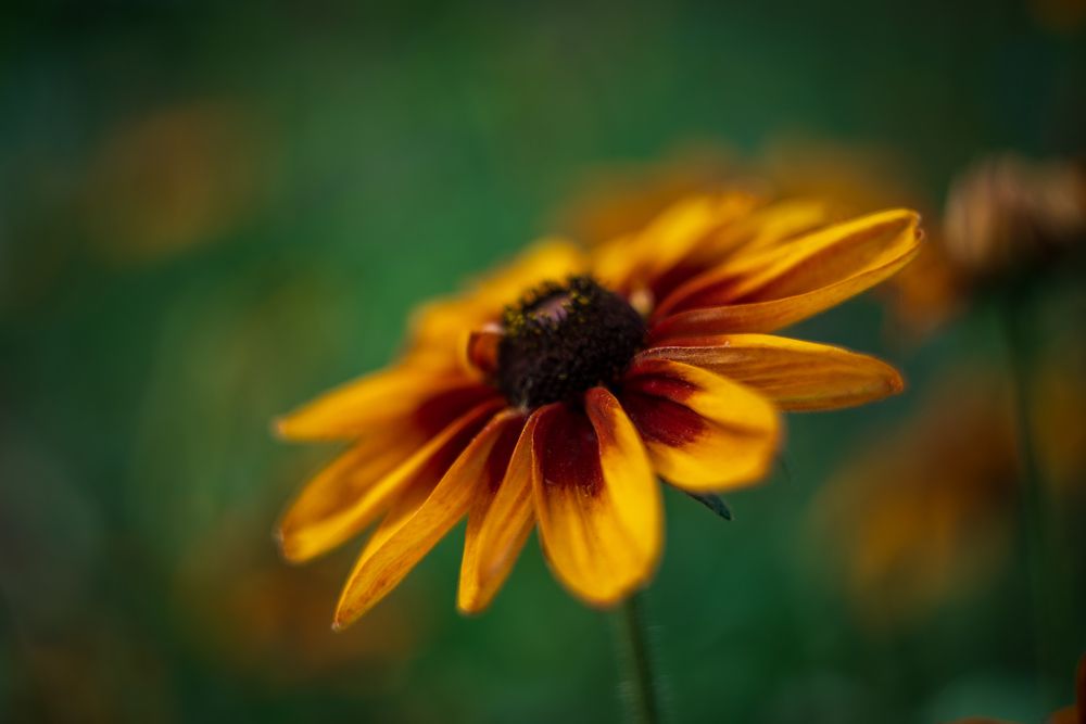 Photograph by BESPAMIATNYI Dmitry