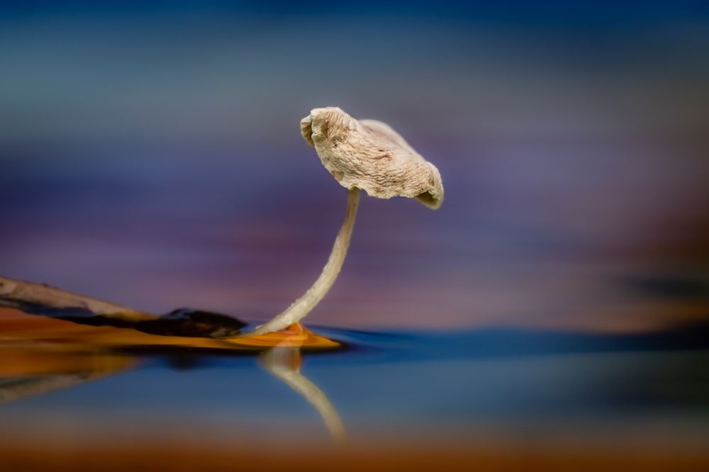 Photograph by Николай Фонарёв