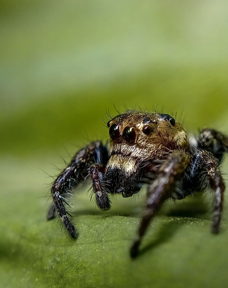 Photograph by Asna Azeez