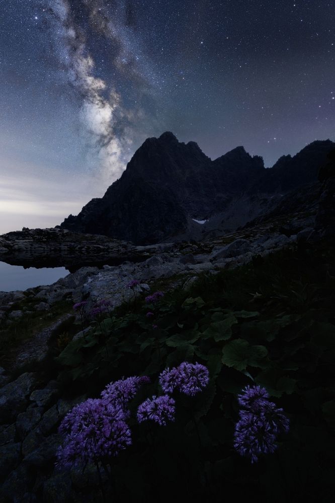 Photograph by Petr Kovar