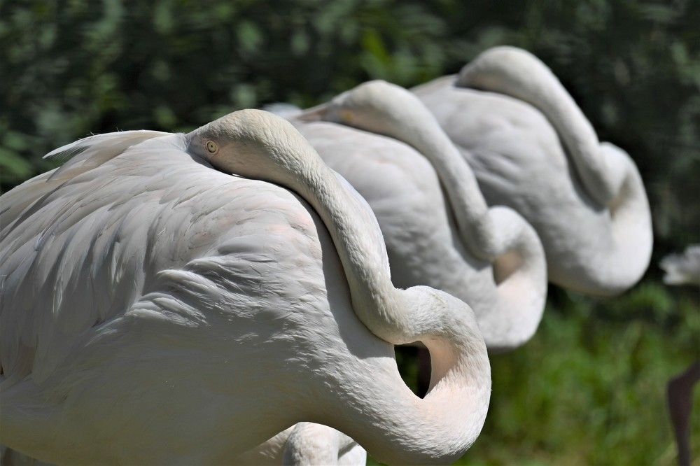 Photograph by IRINA FILIPPOVA