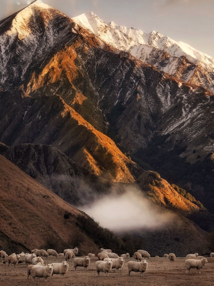 Фотография автора Henri Fitriadi