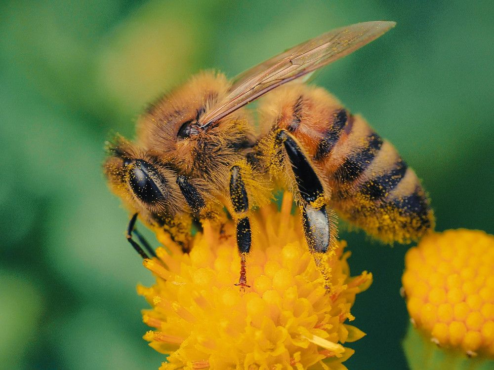 Photograph by Ирина Протченко