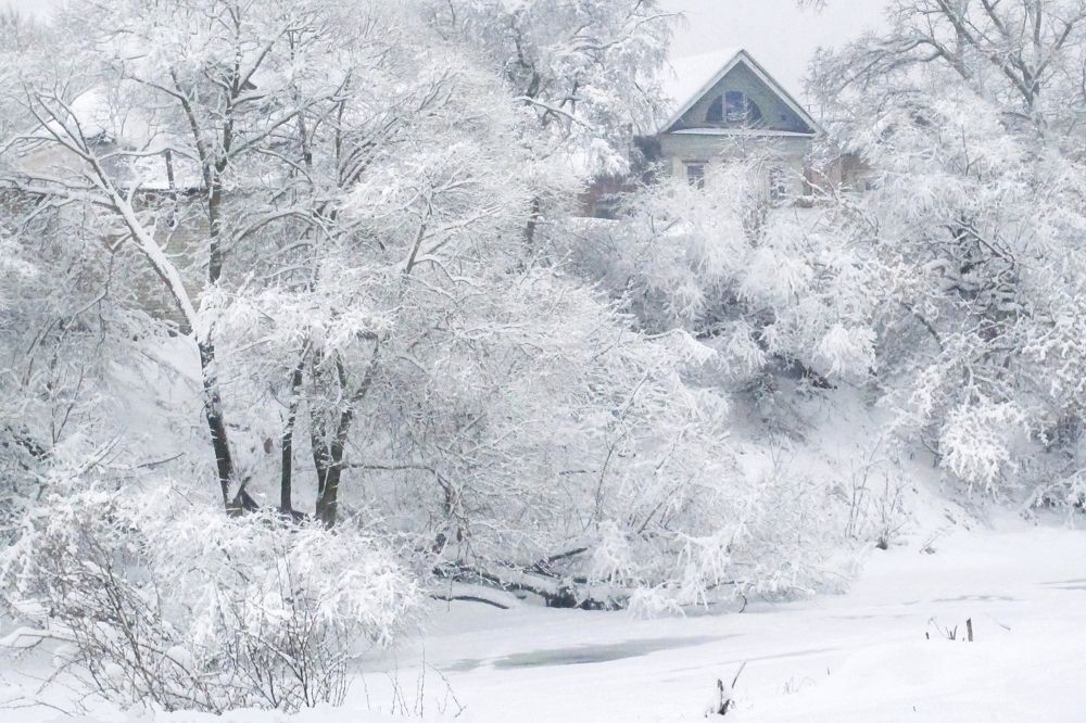 Снежные кружева