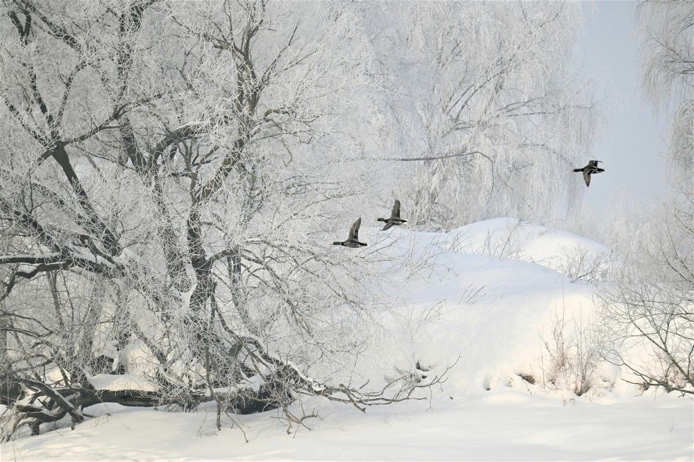 Фотография автора IRINA FILIPPOVA