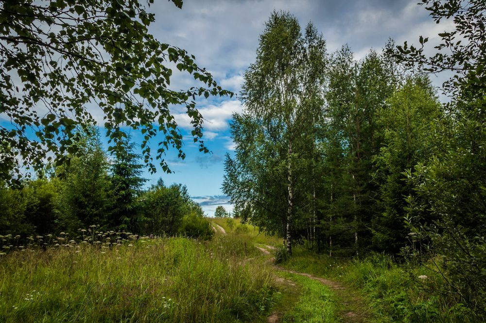 Photograph by Игорь Сидун