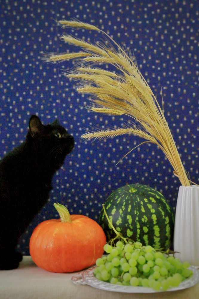 Photograph by Мария Андреева