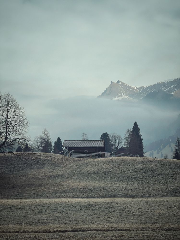 Photograph by Geldt Maxim