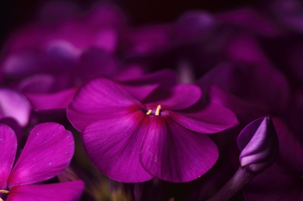 Photograph by Vyacheslav Ushakov