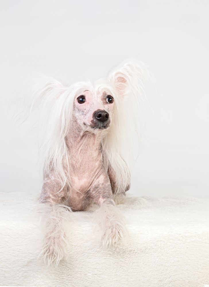 Photograph by наталья залогина