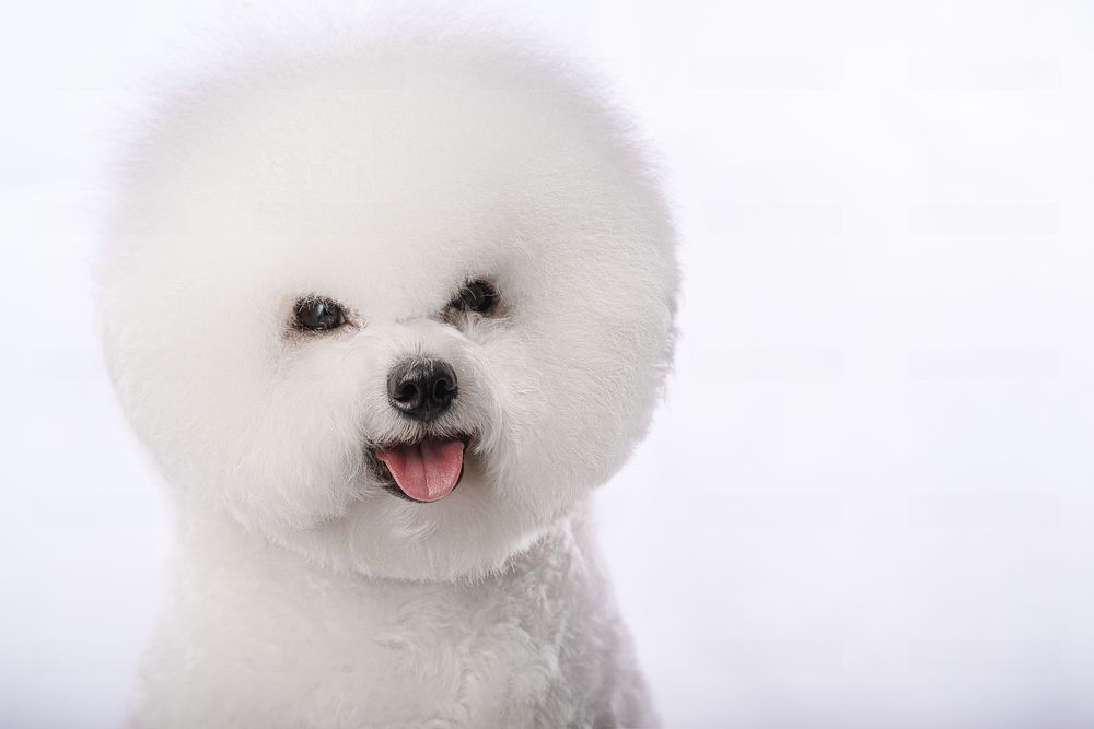 Photograph by наталья залогина