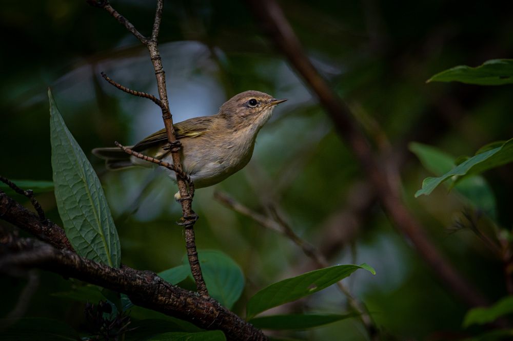 Photograph by Андрей Бобрюк