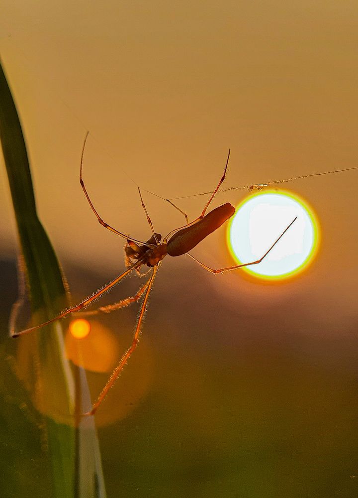 Photograph by Debolina Barman