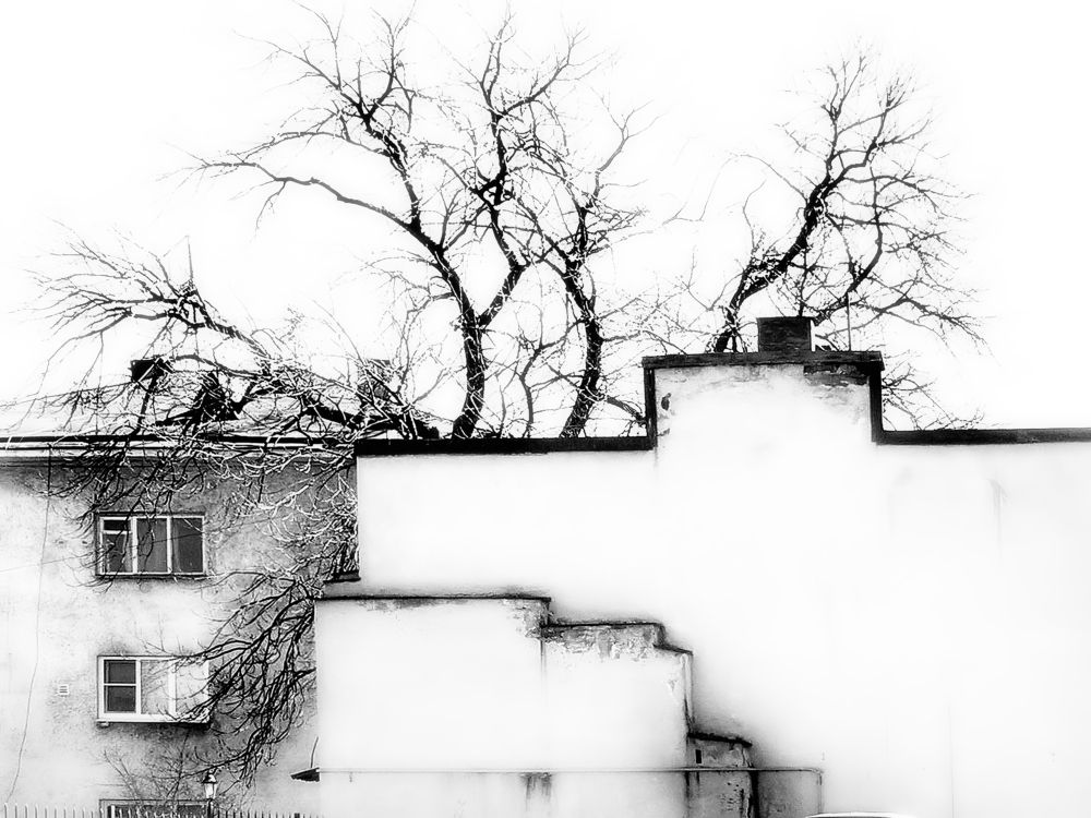 Photograph by Борис Кравецкий