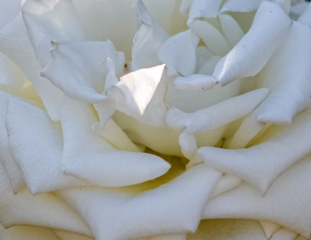 Photograph by Bachir Rabouh