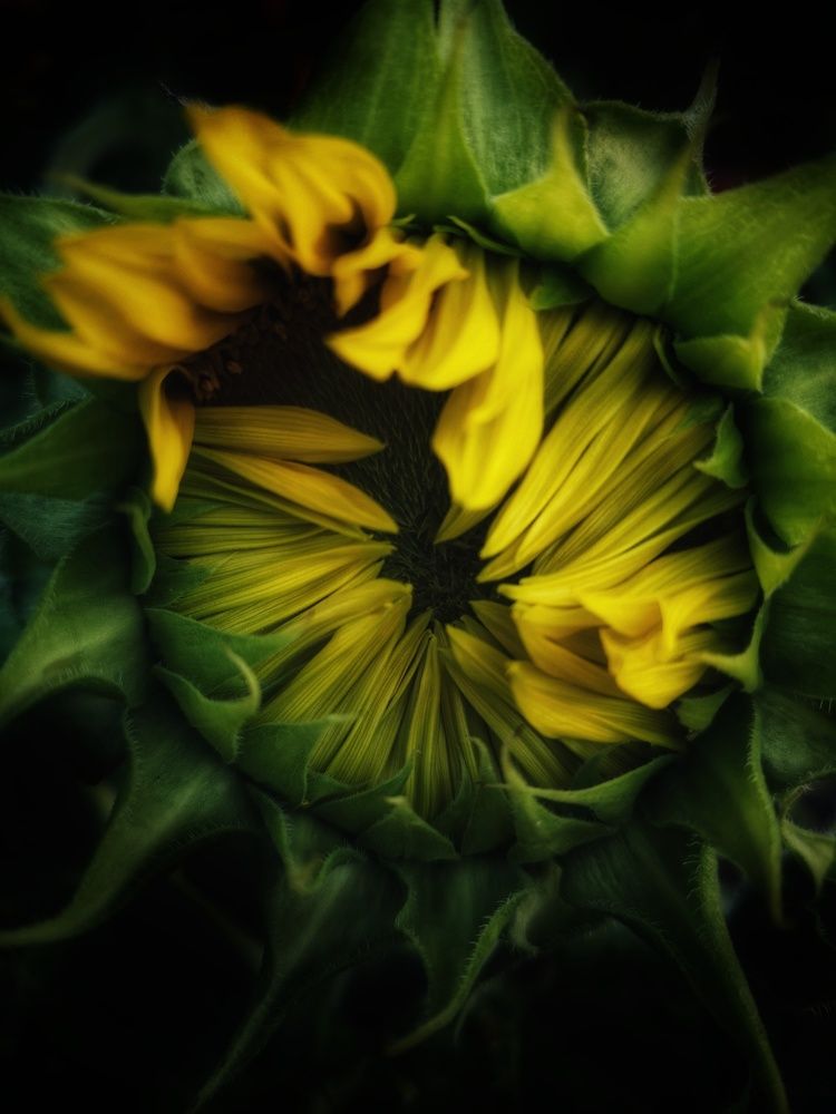 Photograph by Татьяна Сычева