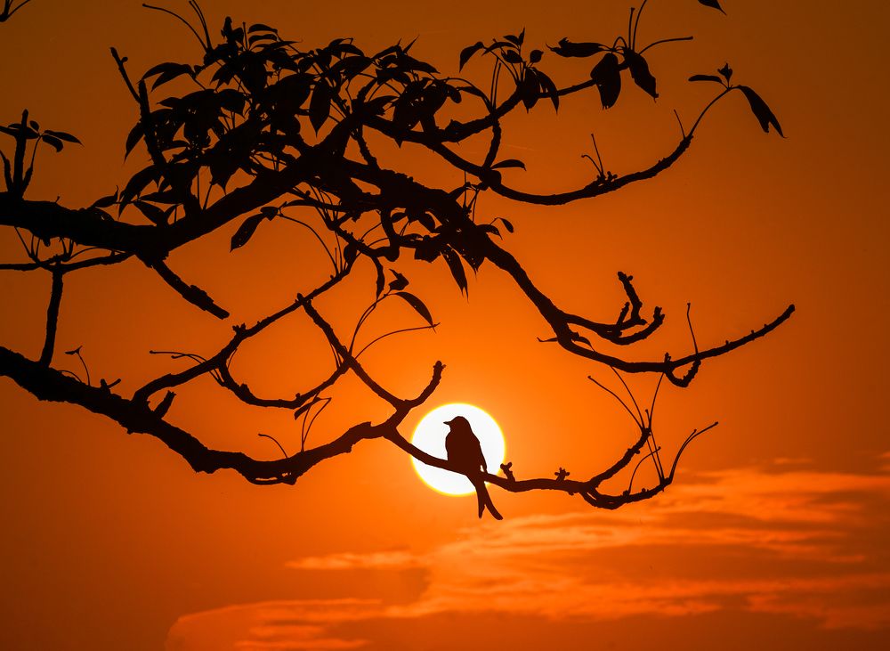 Photograph by Asamanj Maiti