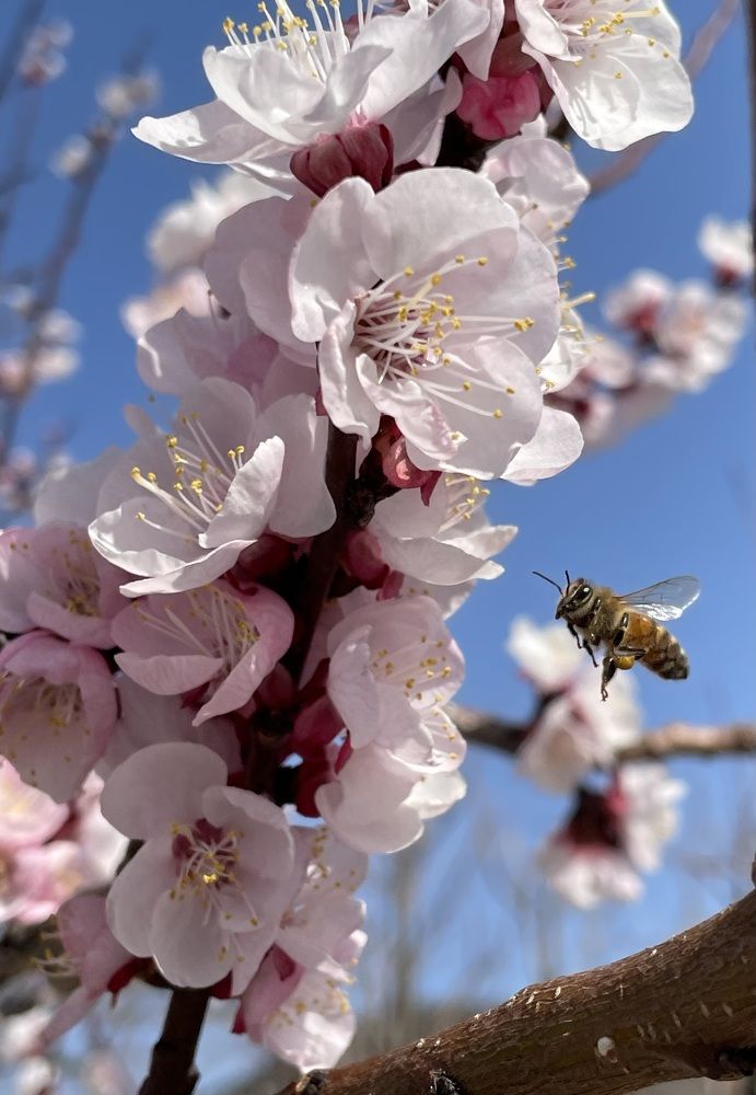 Photograph by Gorobets Olga